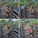 본촌생태어린이공원 이미지