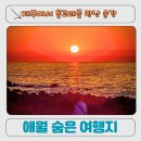 해변 | 제주 돌고래 스팟부터 일몰 명소 ㅣ애월 가문동길 현무암 해변 후기