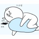 소담플러스