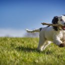 메디힐동물병원 이미지