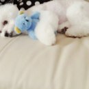 트리밍807 이미지