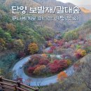 갈대숲소리, 플룻 | 단양 보발재 단풍과 고운골 남한강 갈대숲, 가을여행 어때?