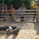 함양군농촌마을관광협동조합 이미지