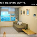 한솔로이젠트 이미지