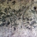 영천 보성리 암각화 이미지