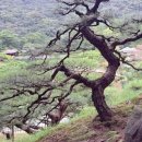 신문고 행정사사무소 이미지