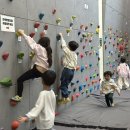 국립산악박물관 후기 - 산을 좋아한다면 꼭 가볼만한 곳!
