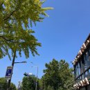 컨퍼런스 홀 | 진흥원 2025 세계시민연대로 보는 일본군 '위안부' 문제 국제 컨퍼런스 참석후기 로얄파크컨벤션 로얄홀