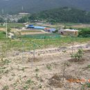 사곡농장 이미지