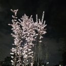 전재울근린공원화장실 | 서오릉근린공원 선정테니스장 이용방법 총정리 (요금, 예약, 시설 후기)