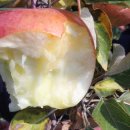 세형농장 이미지