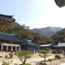 진관-006 Daum카페