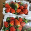 구원농장 이미지