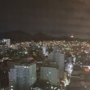 새로움공인중개사사무소 이미지