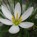 은평연세정형외과의원 이미지