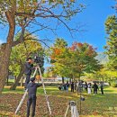 강촌 상상역 이미지