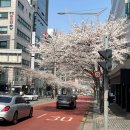 CU 역삼벚꽃길점 이미지