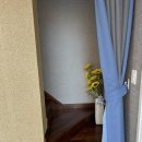 GR(울진군)-[울진북로]-하-131 | [경북 울진 펜션] 울진 가족여행 울진 바다소풍펜션 추천 내돈내산 솔직후기