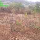 은산리보건진료소 이미지