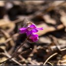 해피니스요양병원 이미지