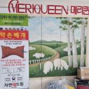 보림당약국 | ♥메리퀸학동점♥