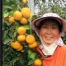 건영농장 이미지