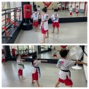 STS한국체대태권도 이미지