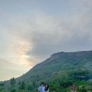 종선농장 이미지