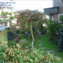 사림동258 이미지