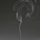 향기로운 염원 이미지