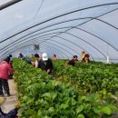 아토농장 이미지