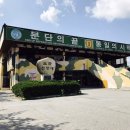 율전버스 이미지