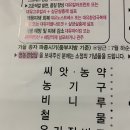 봉암리 할머니 이미지