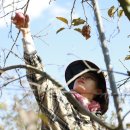 김재연농장 이미지