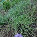 혜인농장 이미지