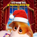 프린스 코기 이미지