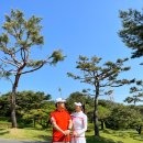 신안 퍼블릭 CC 이미지