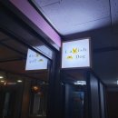 라비쉬독 이미지