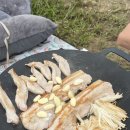 칠봉유원지_2_산현교 옆 | 탁주 녹두와 함께 칠봉유원지 방문🏊‍♀️