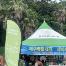 제주배럴서핑스쿨 | [제주/서귀포] 중문 색달해변에서 제대로 배우는 서핑 – 제주배럴서핑스쿨 후기