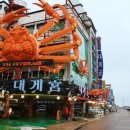 “걷고 나면 뜨끈한 대게가 기다린다”… 바닷가 트레킹하고, 제철 대게 먹는 1월 힐링여행지 2곳 이미지