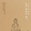 신비한 타로의 세계 이미지