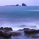 제주사계 이미지