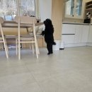 스테이 태정93 | 남양주 수동 스테이태정93 애견펜션