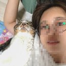 얌차 (yumchaa) 이미지