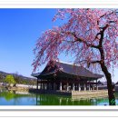 경회루 - 동두천시 평화로 2914-12 | 경회루
