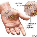 신앤박한의원 이미지