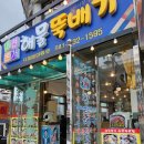 보령 대천해수욕장 해물뚝배기 맛집 대천본가 내돈내산 후기