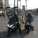 알모터스 이미지