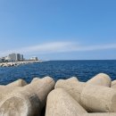 서부두 명품횟집거리 이미지